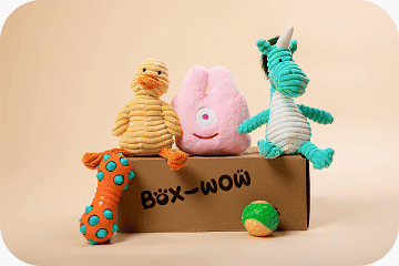 Box-Wow