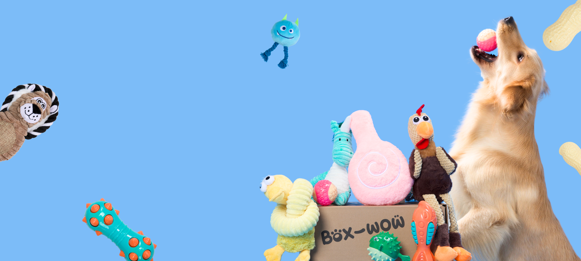  Monthly Dog Subscription Box