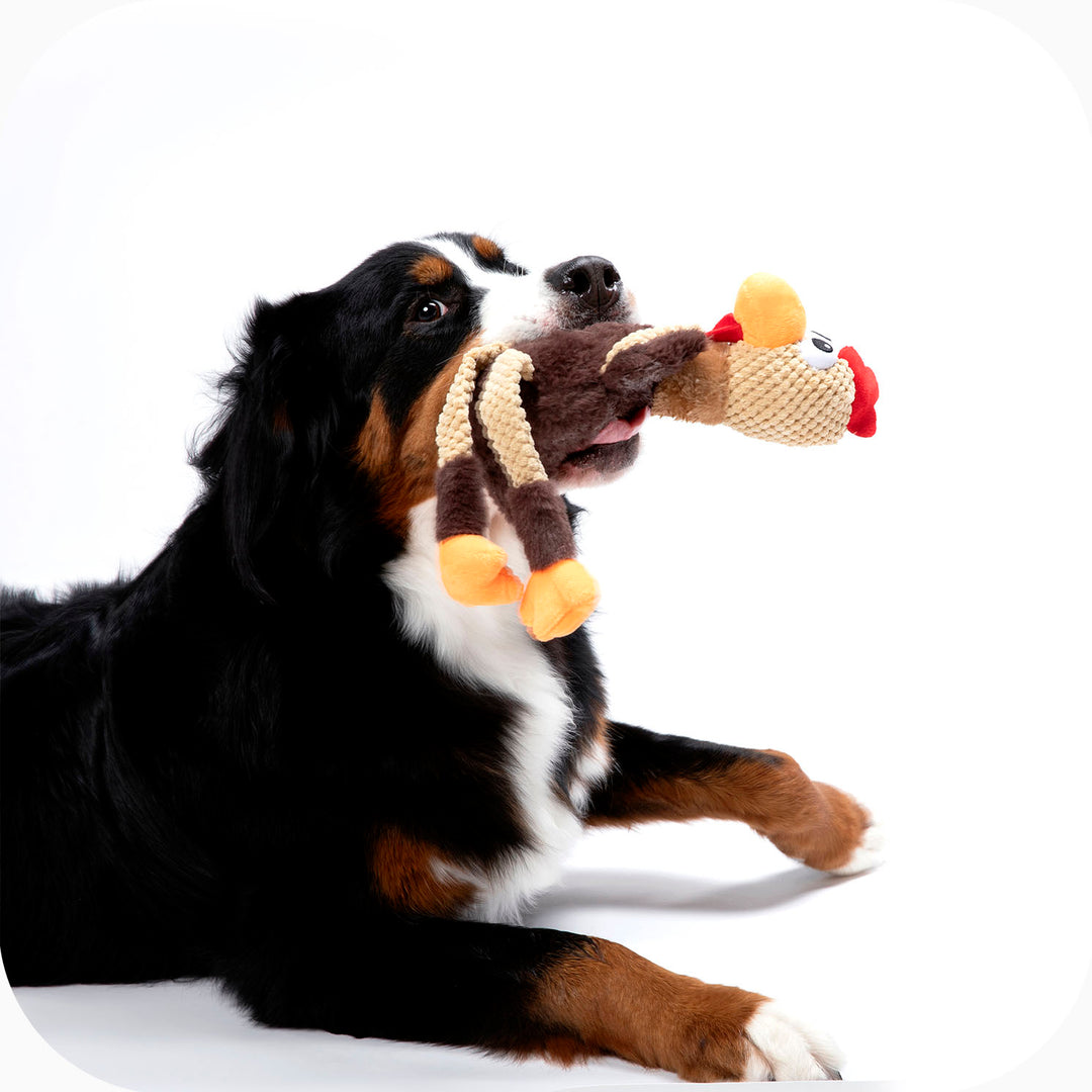 Quality toys - happy dogs!
