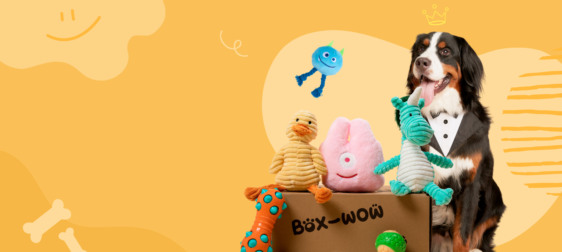 A Special Dog Subscription Box