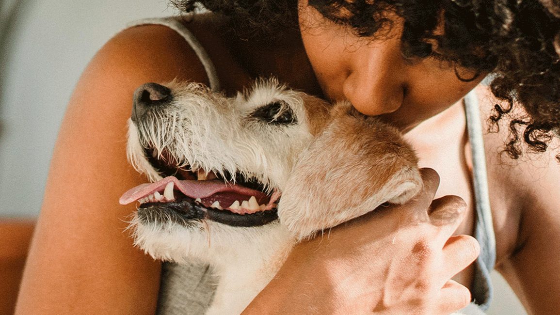 Discover the joy of surprise
 with Box-Wow