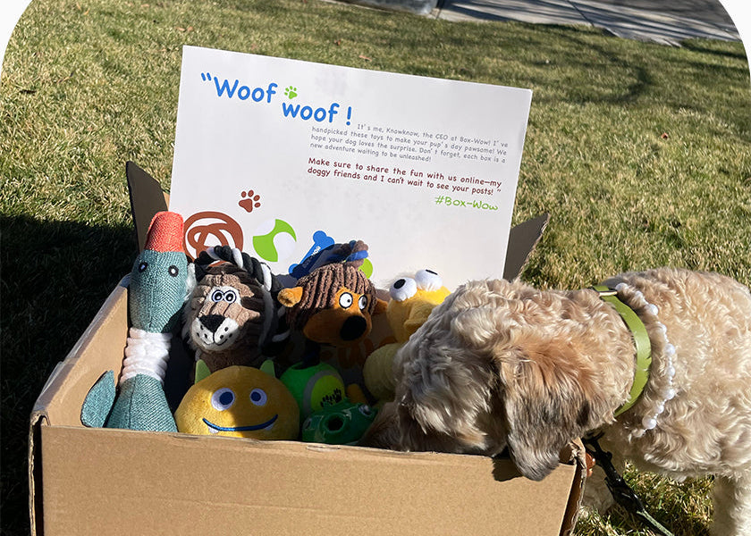 Plush + Chew, Every Box!