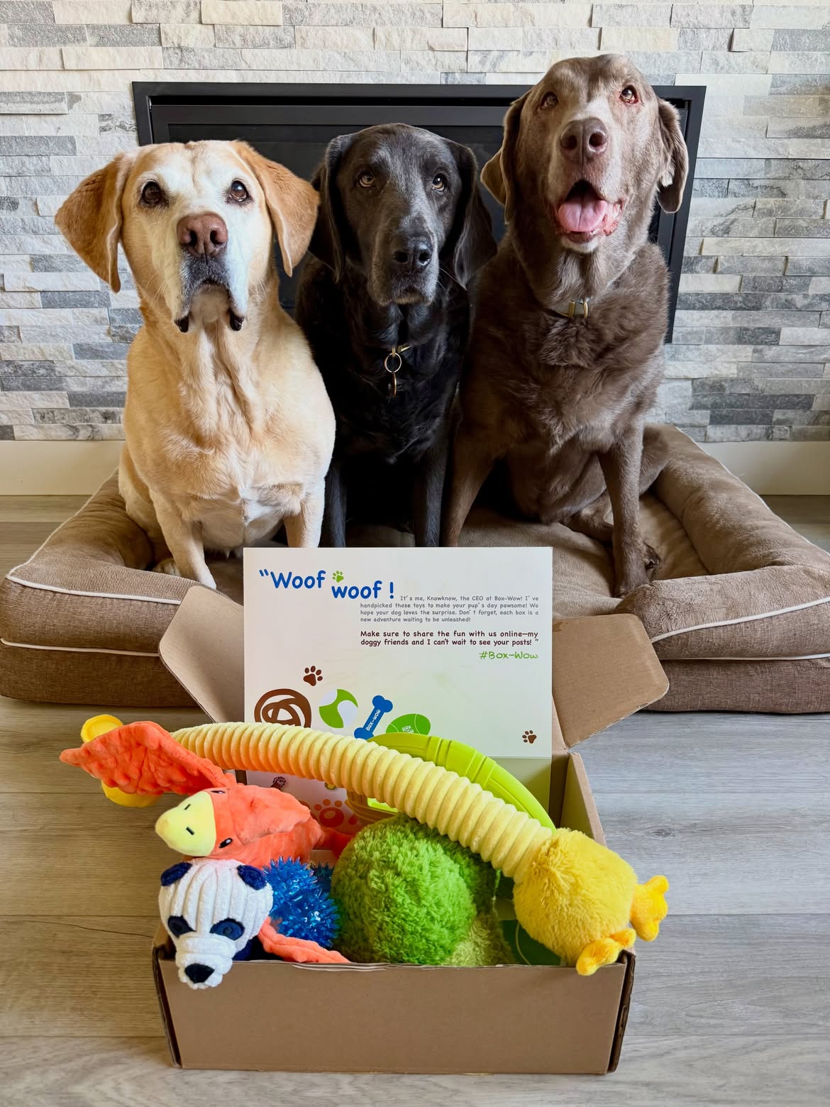 Box-Wow Dog Toy Subscription Box
