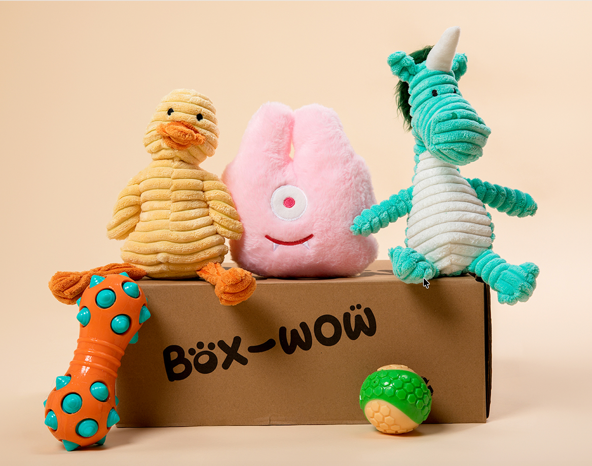A Box-Wow box flat-lay with plush and chew toys