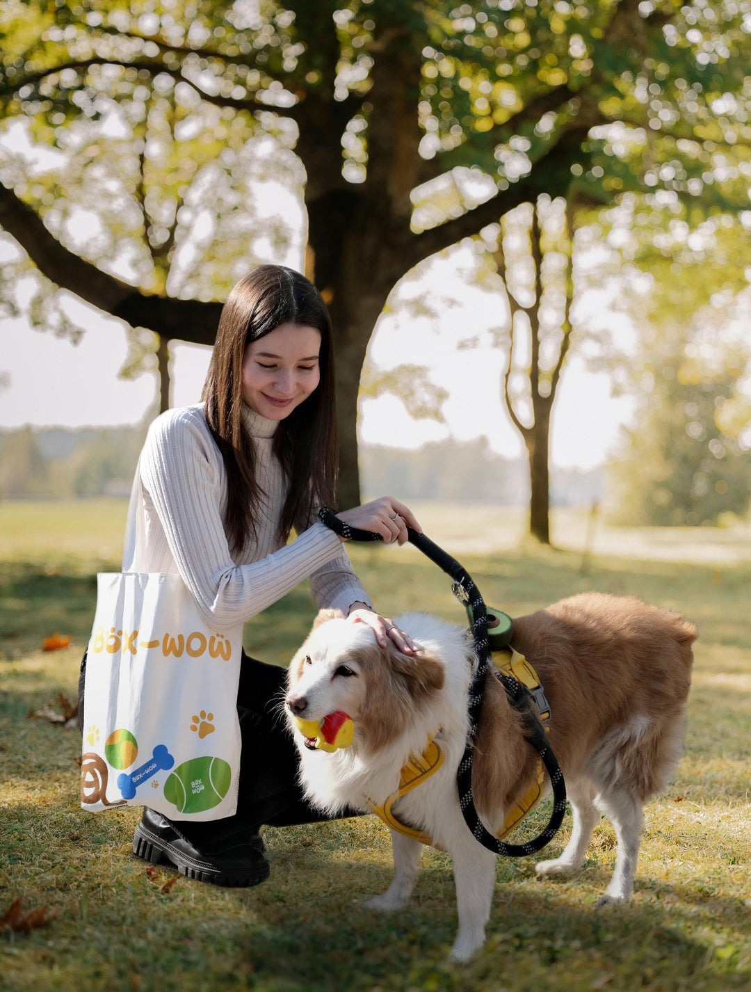 Box-Wow Dog Toy Subscription Box