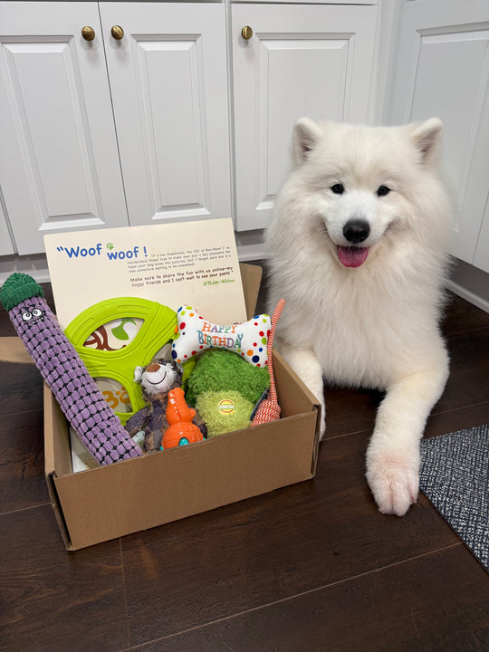 Dog Toy Box, Built to Last