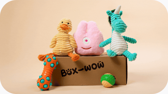Dog Toy Box, Built to Last