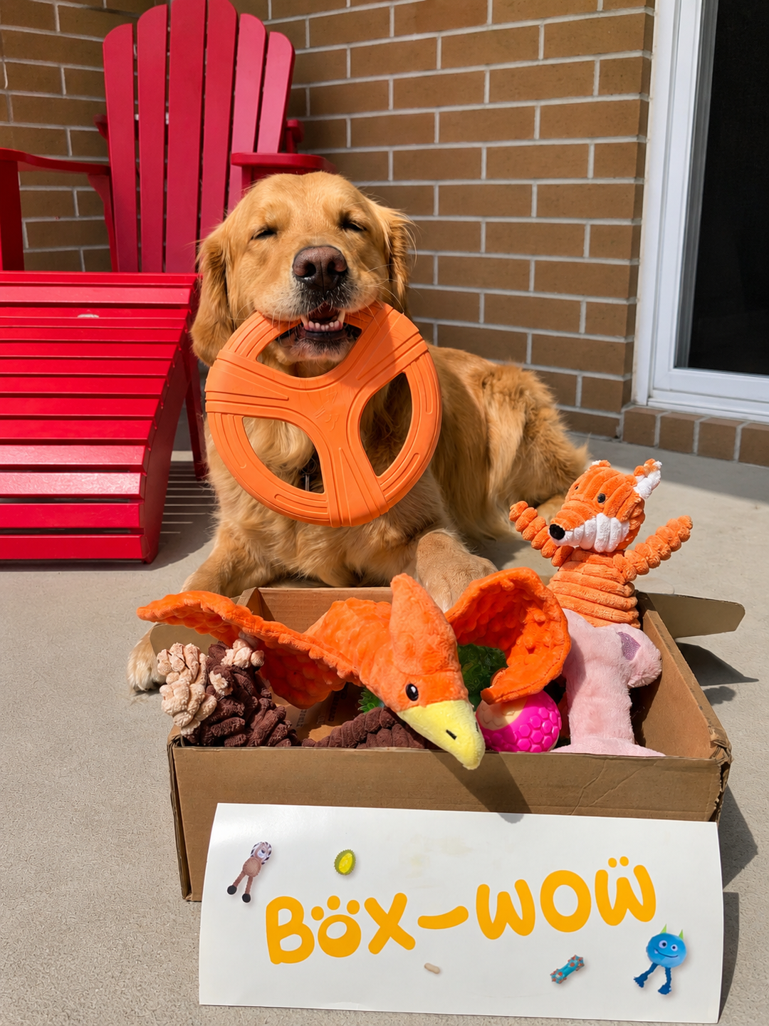 Dog Toy Box, Built to Last
