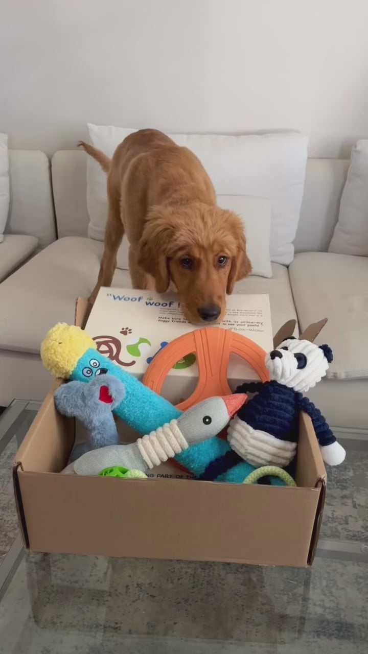 Dog Toy Box, Built to Last
